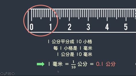 尺4幾公分 旺桃花